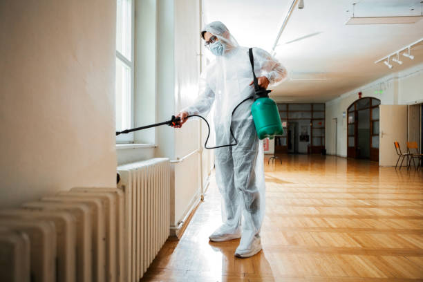 Best Affordable Pest Control Services  in USA